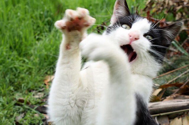 JIUYOU GAMING-英超逆转，教练讲赛后心得，英超最善于逆转的球队