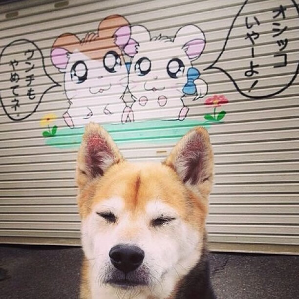 青少年水上漂流挑战赛,自然水域的极速冒险,水上漂流项目