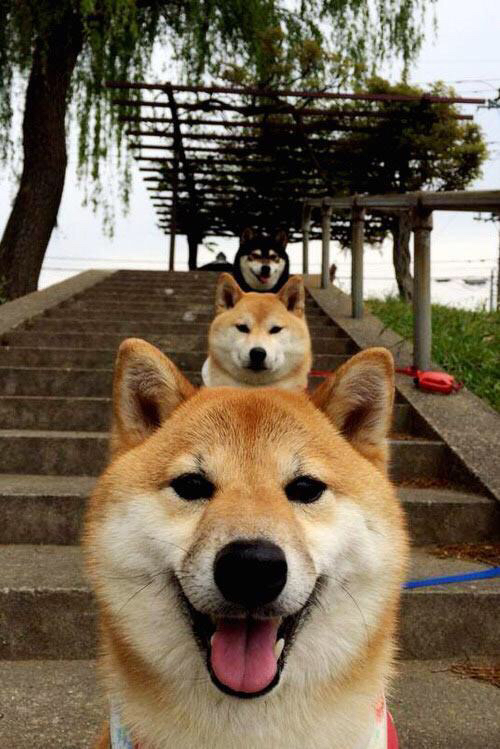 Jiuyou-RNG关键战役精彩回顾，rng著名战役