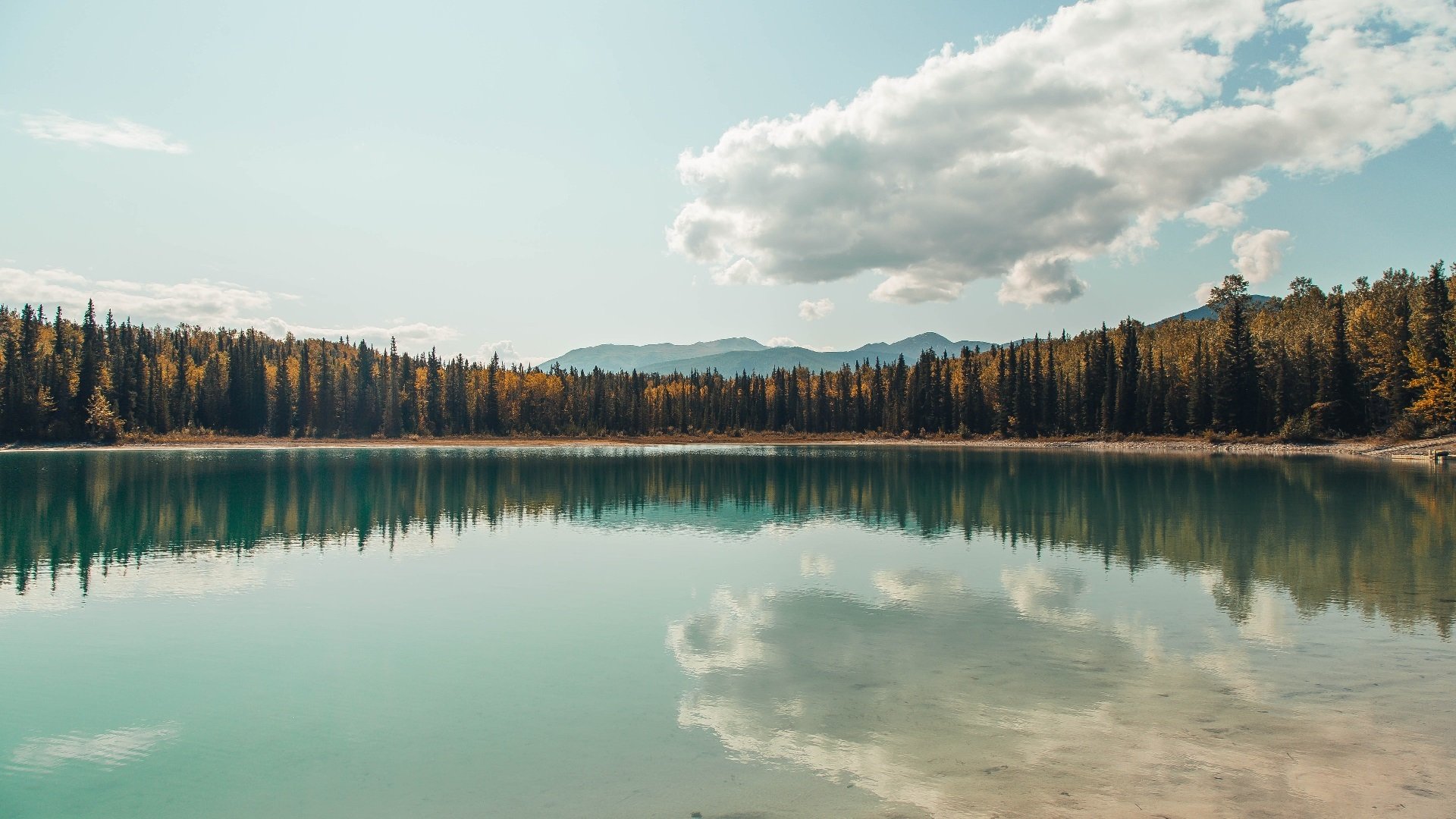 -墨西哥队青年球员加入国家队大名单，墨西哥国家队球星
