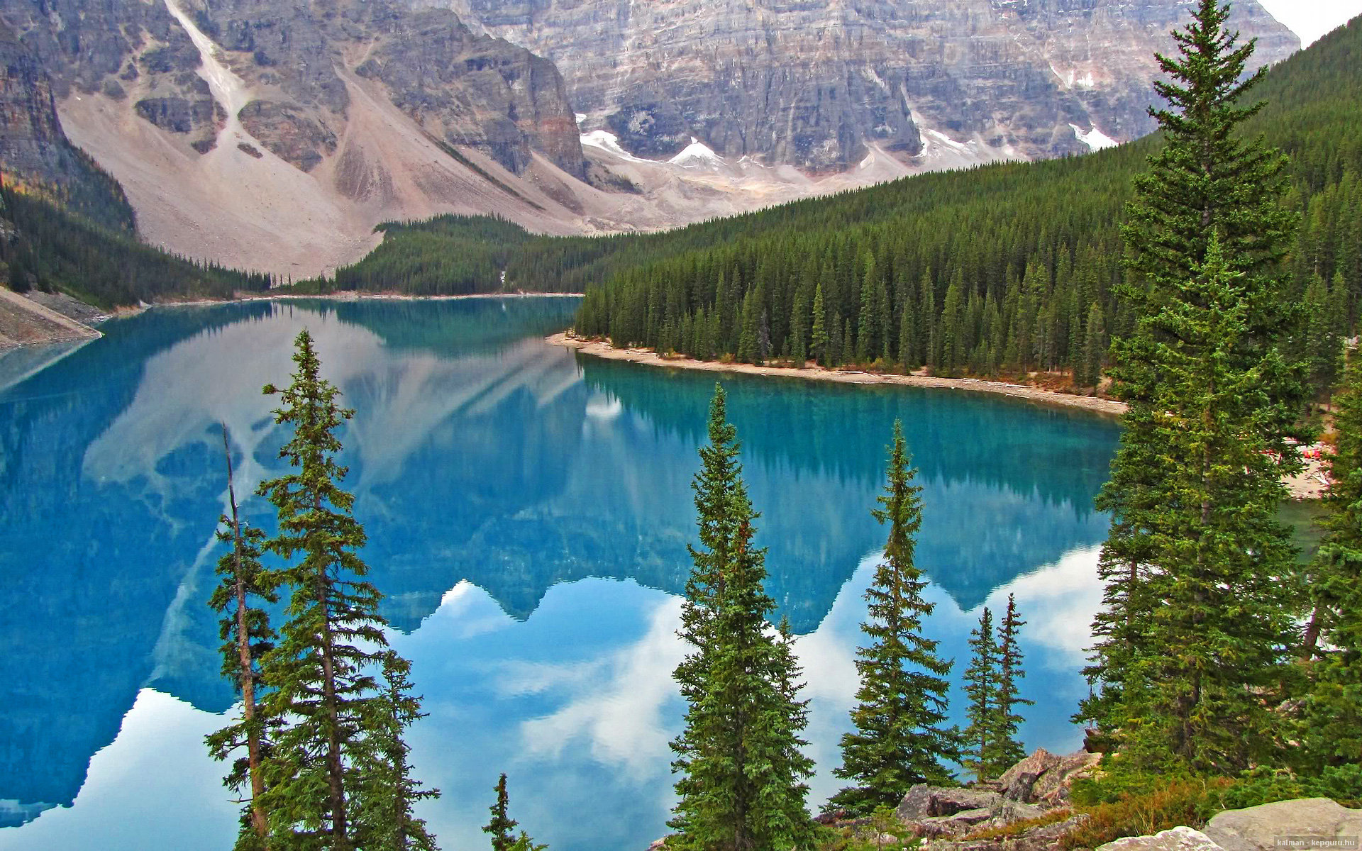 九游网页版官网-数据教练角色是否会取代传统分析岗位，数据训练师