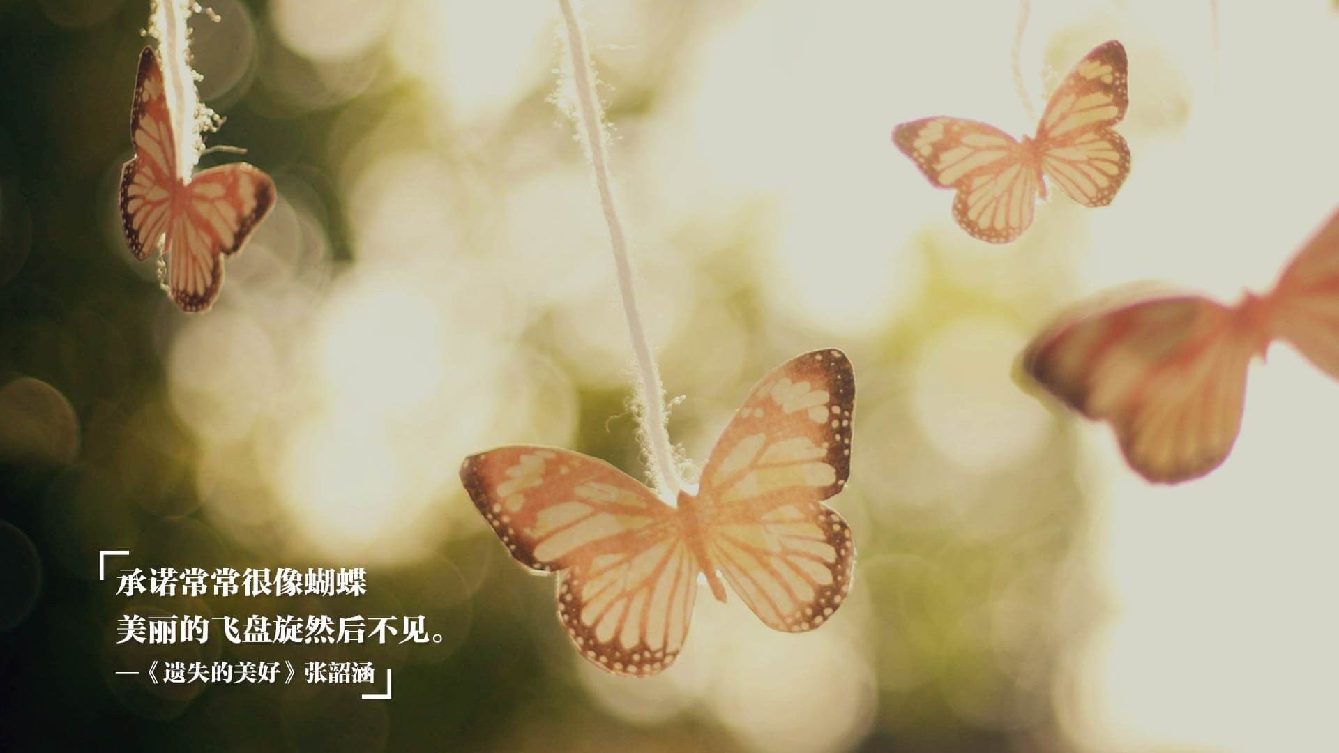 科洛·穆瓦尼加盟拜仁慕尼黑,科瓦奇穆勒