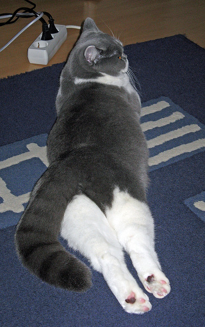 精彩球赛激发球队士气,备战更重要,球赛激励的话