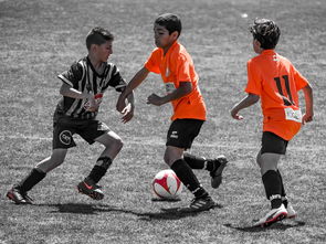 九游游戏中心-NBA球员训练营活动，nba球员训练营活动安排