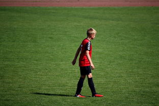 世界青年滑板锦标赛中国少年夺奖，青少年滑板联赛