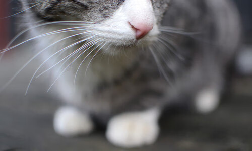 中超球员比赛经验值综合评分，中超得分