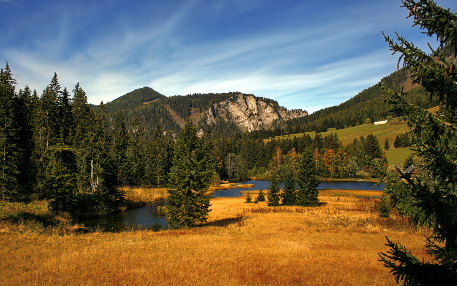 篮球运动中的战术体系构建与演变，篮球战术的定义