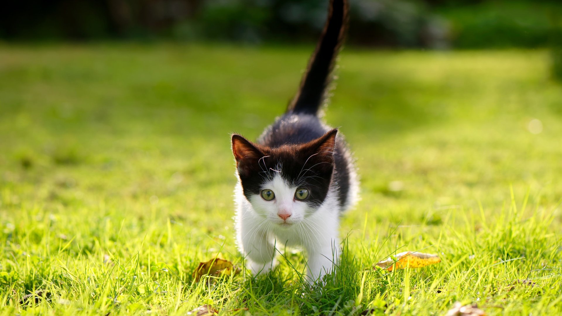 九游娱乐官网 (JIUYOU)-西甲VAR判罚平台通过语义层级分组降低协商时长，西甲有没有var