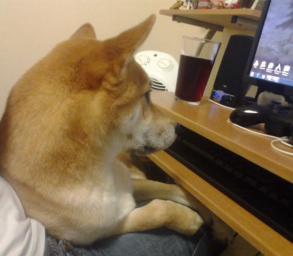 足球创新:机器人裁判与自动化判罚的前景,wro足球机器人比赛