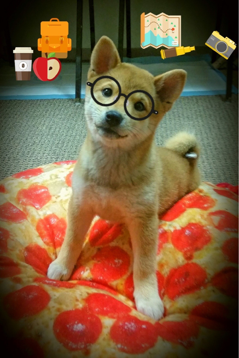 高校运动训练科学化监控体系构建与应用,运动训练科学监控课程感想