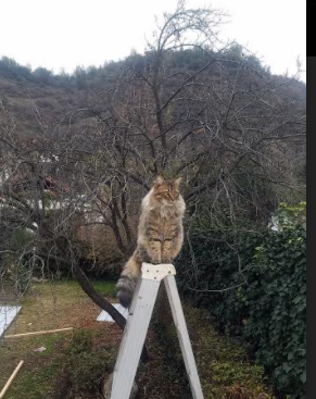 兴隆湖滨，打造世界级赛事舞台，兴隆湖效果图