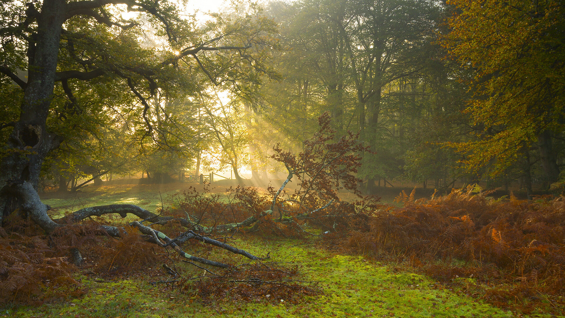 搏击赛事新增U18组别探索青少年路线，青年搏击比赛