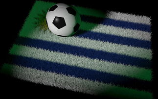 九游登录入口-中国足球国家队备战世界杯预选赛全面展开，中国足球队 世界杯预选赛