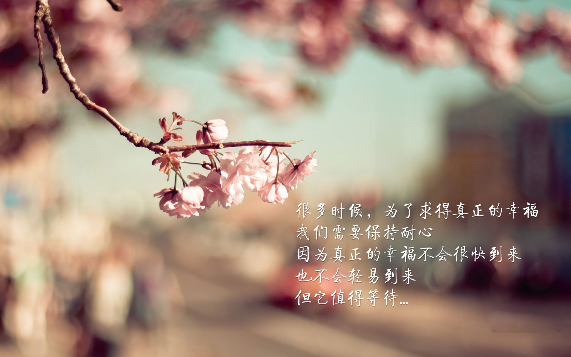 九游APP官网-新闻中心公告全国体育公益创投项目评审会时间安排，2021公益投资大赛