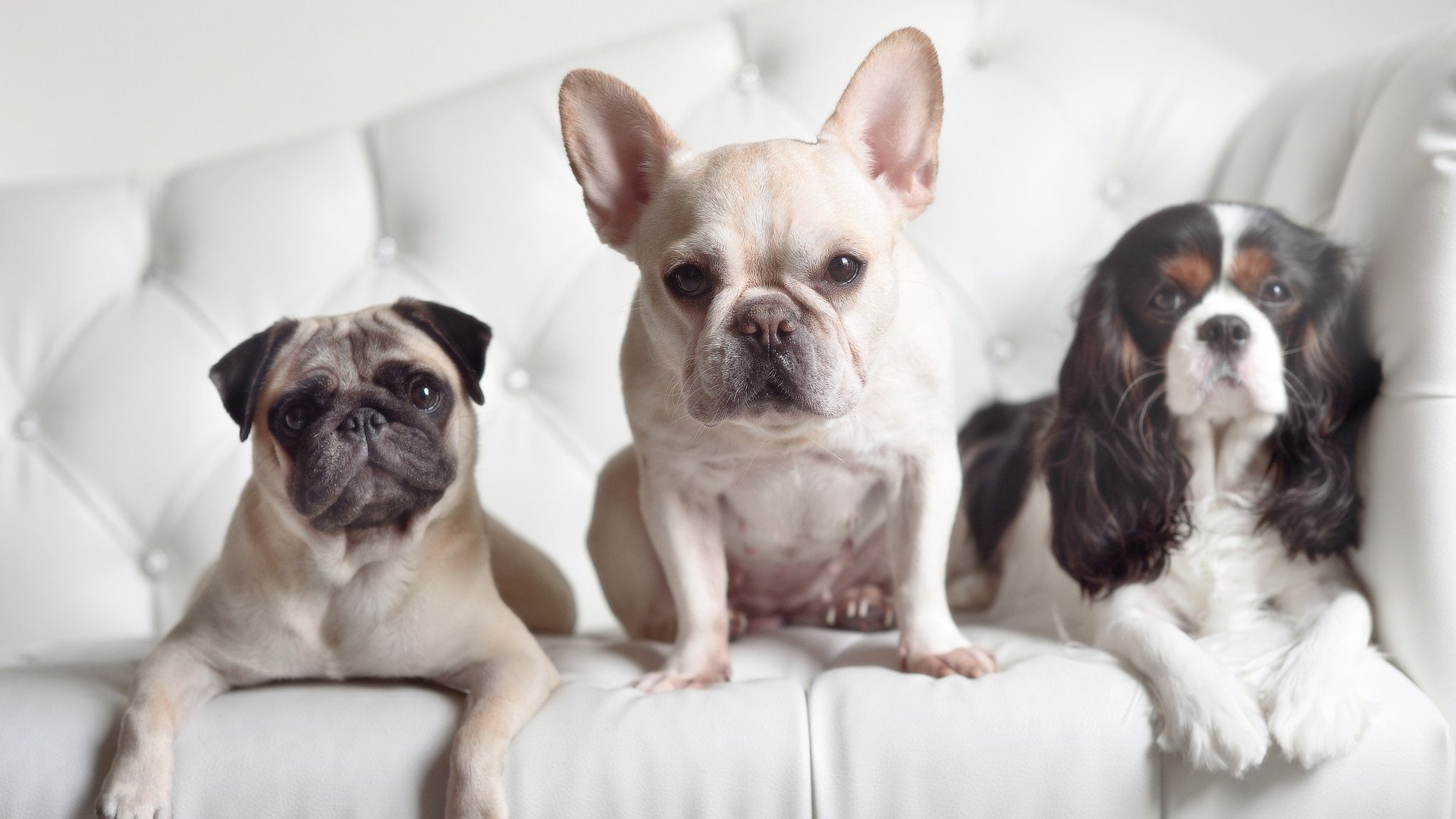 朱婷面对质疑表示更愿用表现回应,朱婷已经尽力