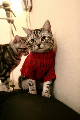 篮网调整防守策略有效限制对手投篮，篮网队防守