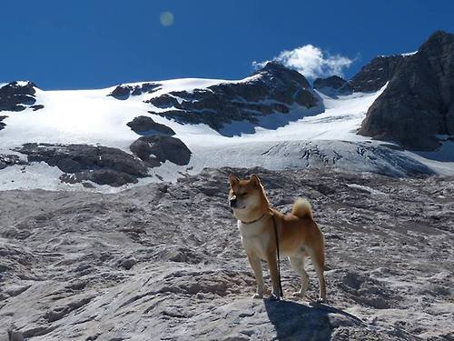 苏炳添开设个人田径训练营，苏炳添训练团队
